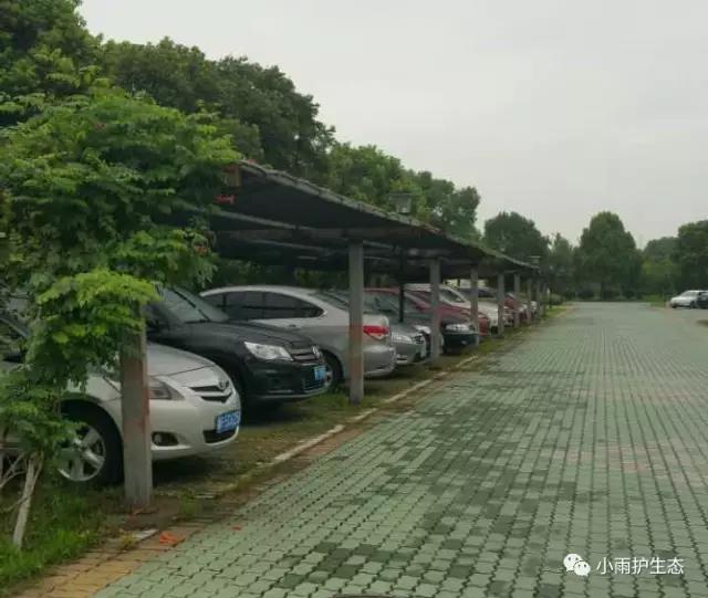 1545115059145951.jpg 3.jpg