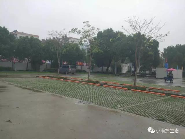 1545115287404667.jpg 14.jpg