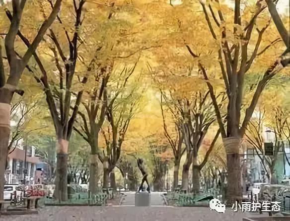 1545115354194094.jpg 17.jpg