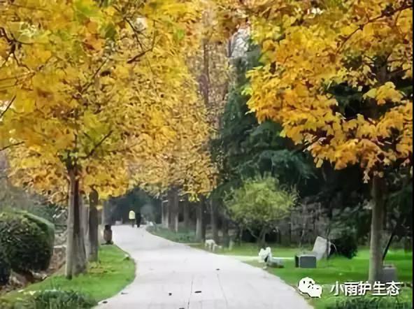 1545115381929216.jpg 18.jpg