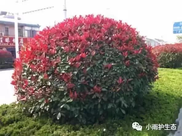 1545115545126983.jpg 22.jpg